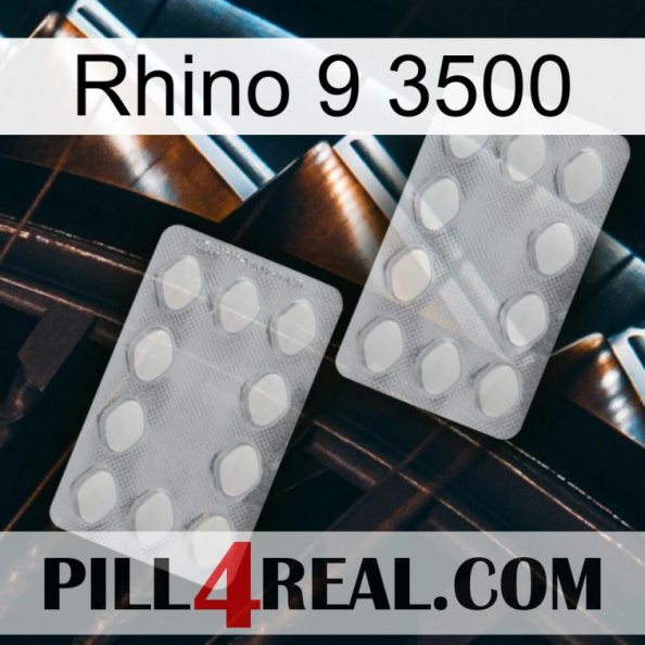 Rhino 9 3500 17.jpg